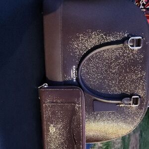 Coach Brown and Gold Women's Bag Set